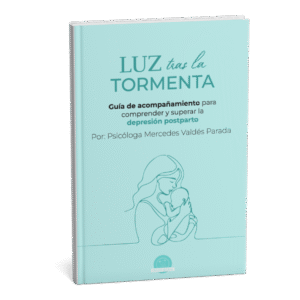 Libro: Luz tras la Tormenta. Guía de acompañamiento para superar la depresión postparto.